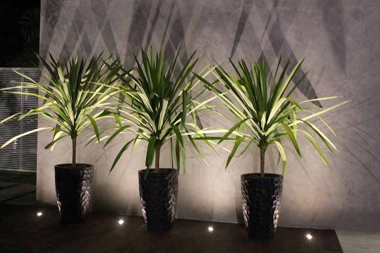 Recanto da Nina - Chácara de Luxo com Piscina Aquecida, Saun